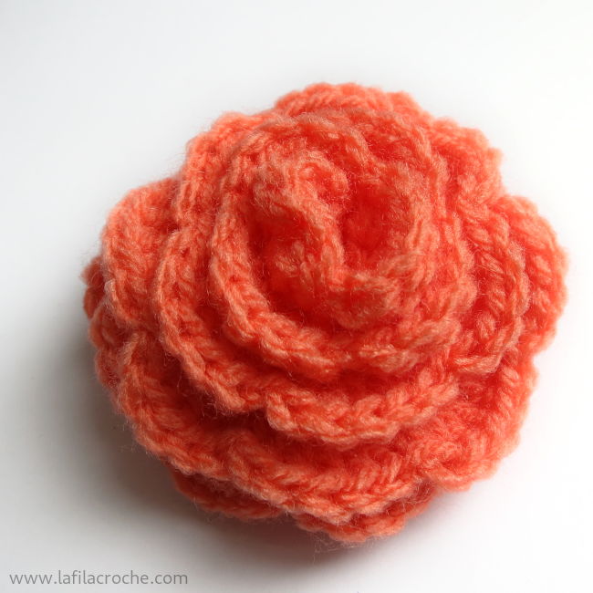 Fleur de renoncule au crochet