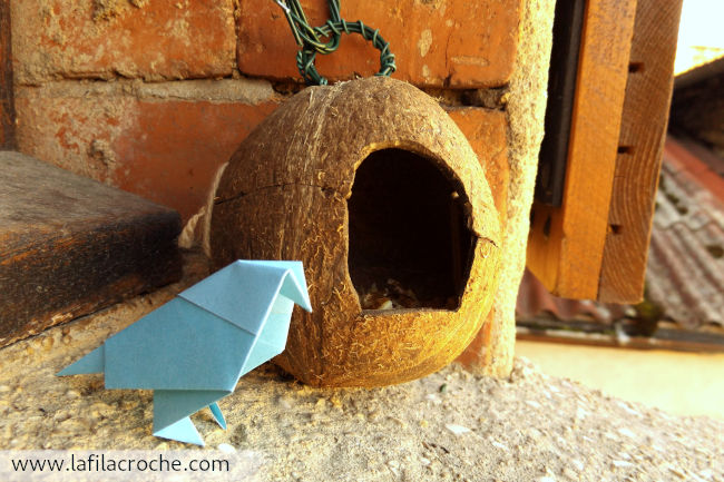 Mangeoire pour oiseaux faite avec une noix de coco