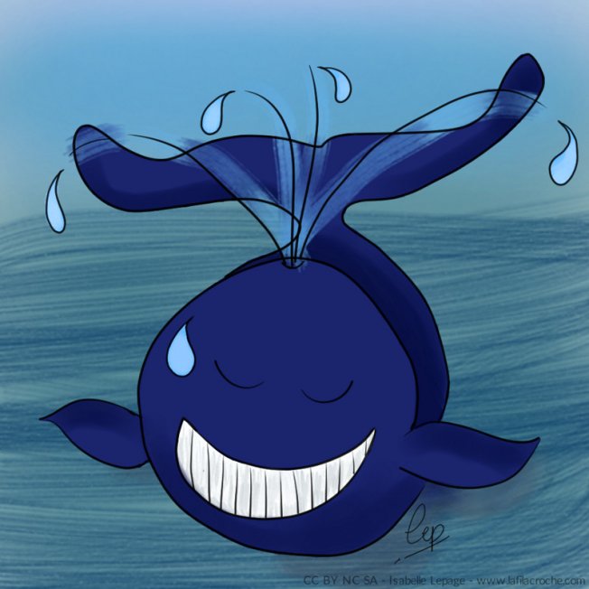 Dessins baleine