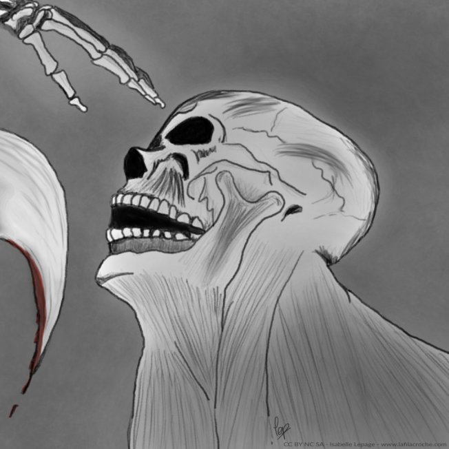 Dessin crane