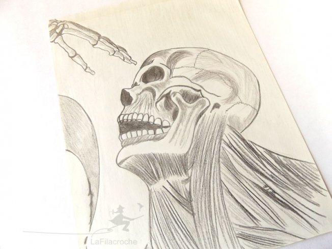 Dessin crane de 2007 sur papier