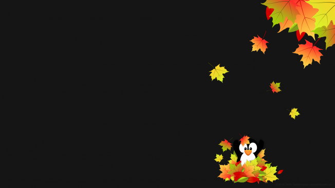 Fond d’ecran Tuxinet d’automne