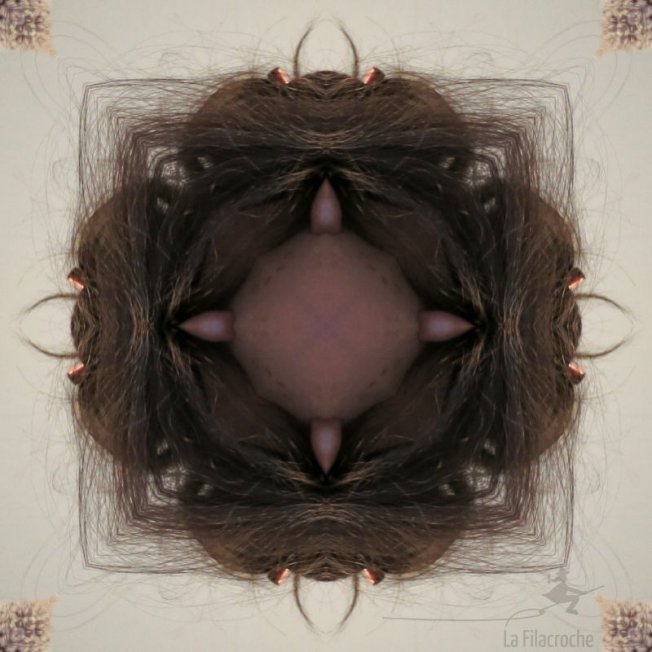 Cheveu un drôle de nid Mon portrait avec le filtre kaleidoscope de G’MIC