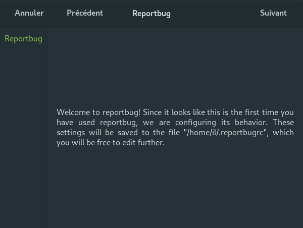 Capture reportbug debian 2