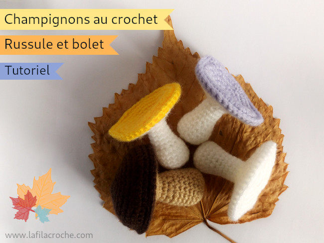 Champignons bolet et russules au crochet