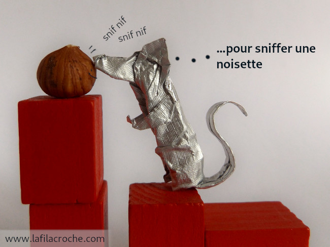 Le rat origami a trouvé une noisette en haut des blocs, il pense …pour sniffer une noisette