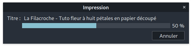 Une capture d’écran de la progression d’enregistrement du fichier