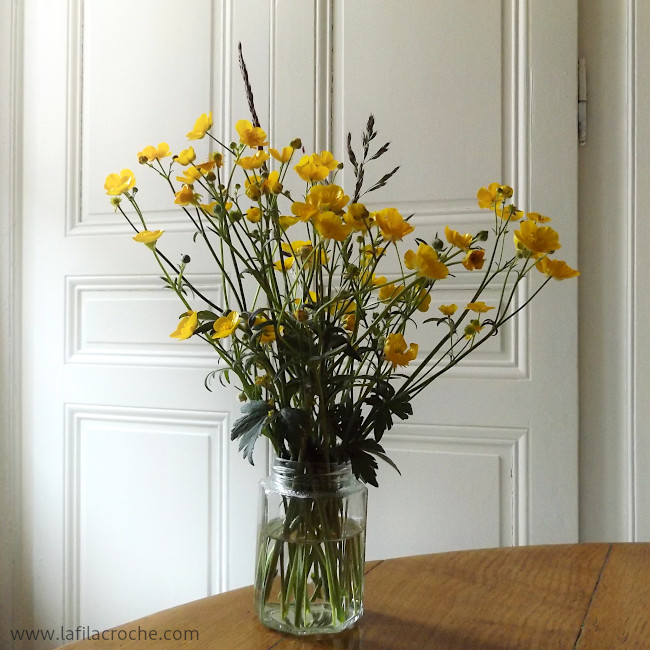 Bouquet de fleurs boutons d’or avec 3 brins de chiendent