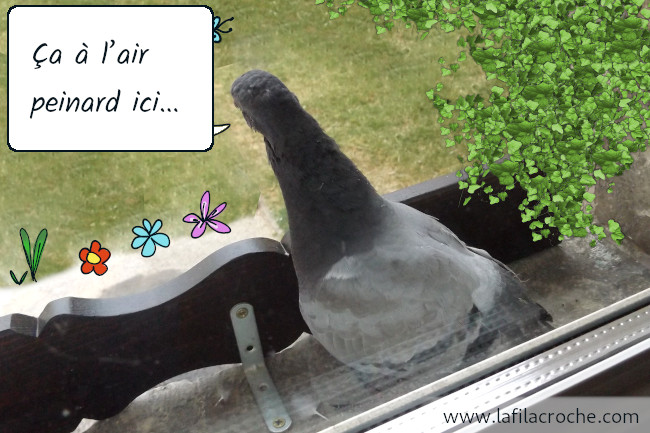 Le pigeon regarde la pelouse et dit « Ça à l’air peinard ici… »