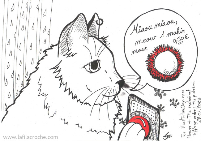 Dessin d’un chat qui appuie sur un bouton avec sa patte pour commander un pulasan