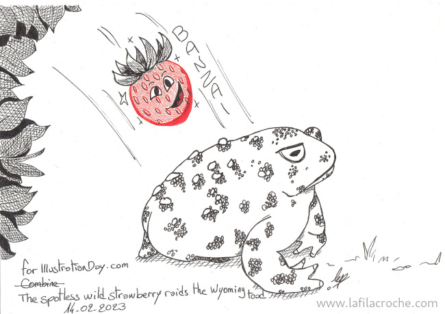 Dessin d’une fraise des bois se jetant sur un crapaud du Wyoming
