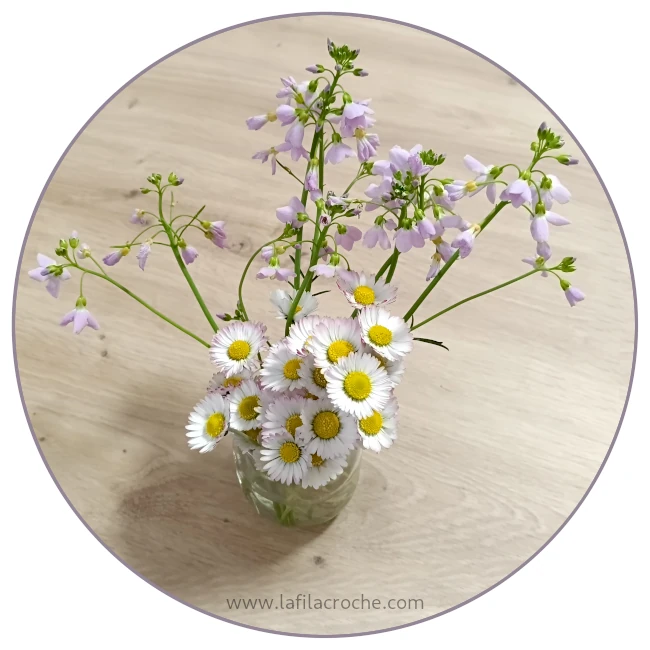 Un petit bouquet de pâquerettes avec des cardamines des près dans un pot de yaourt en verre qui sert de mini vase